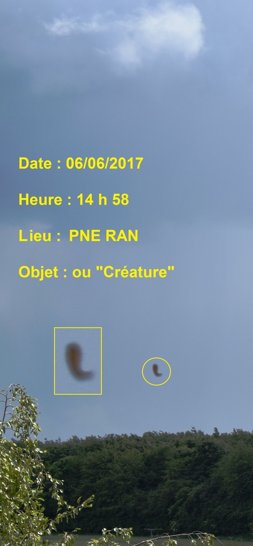 La Croisade Ufologique !