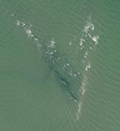 La Barque de Charon ! 