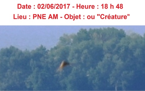 La Croisade Ufologique !